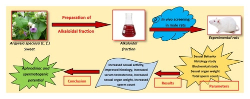 Aphrodisiac and spermatogenic potential of alkaloidal fraction of Ar