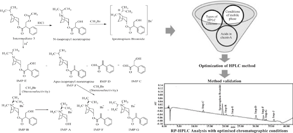 Simultaneous Analysis of Ipratropium Bromide and its Related Substances Using HPLC