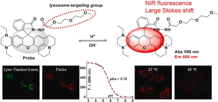 Real-time tracking lysosomal pH changes under heatstroke and redox stress with a novel near-infrared emissive probe