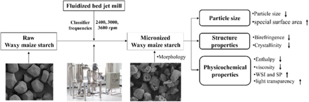 Understanding starch functionality