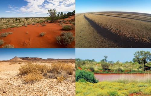 australian landscape desert