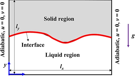 Evolution of solid–liquid interface in bottom heated cavity for low Prandtl number using lattice Boltzmann method