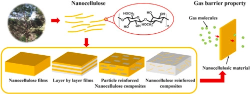 Advanced nanocellulose-based gas barrier materials: Present status and prospects