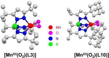 Mononuclear Manganese(III) Superoxo Complexes: Synthesis