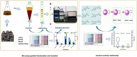 Bioassay-guided isolation of antioxidant, antimicrobial, and antiviral constituents of <em>Cordia dichotoma</em> fruits