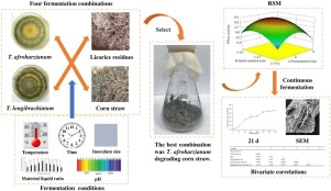 lignocellulose degradation