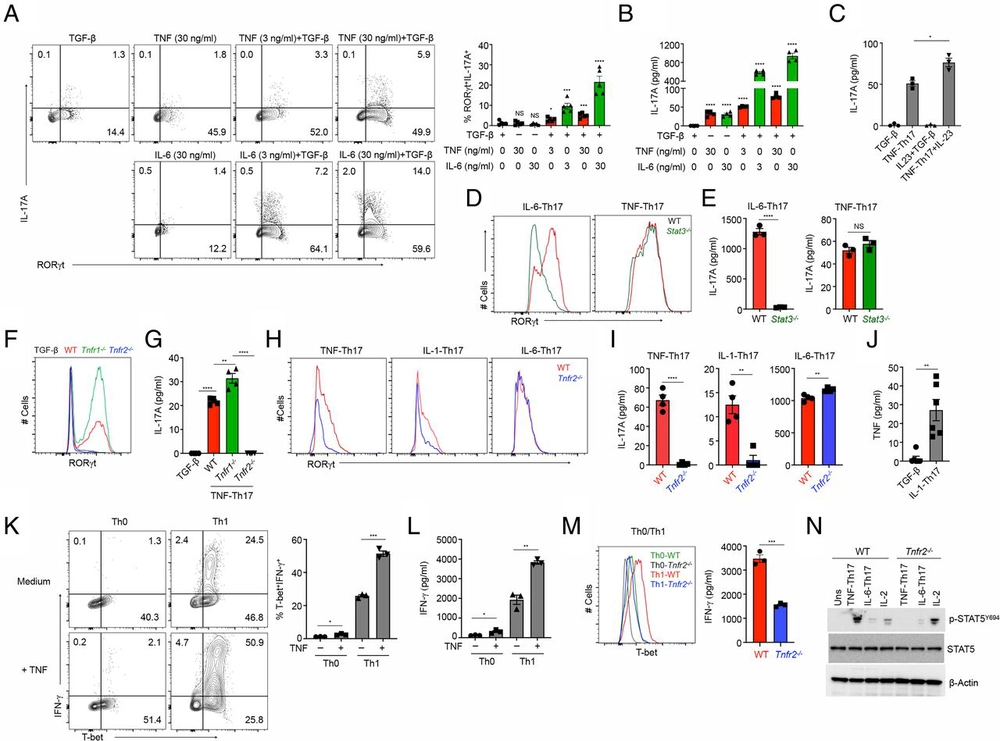 TNF plays a crucial role in inflammation by signaling via T cell TNFR2