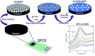 Electrochemical investigation of carbon paper/ZnO nanocomposite electrodes  for capacitive anion capturing