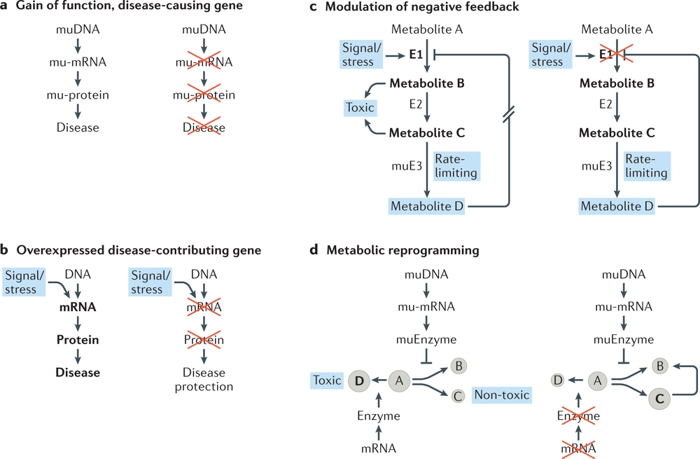 Therapeutic RNA-silencing oligonucleotides in metabolic diseases