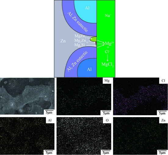 Coatings, Vol. 9, Pages 199: The Evaluation on Corrosion Resistance and Dross Formation of Zn–23 wt% Al–0.3 wt% Si–x wt% Mg Alloy